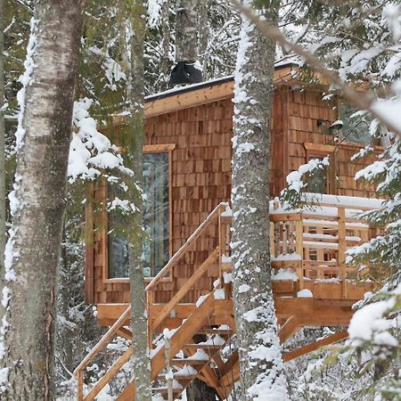 Tiigrisilma Treehouse Hotel Kohila Exterior photo