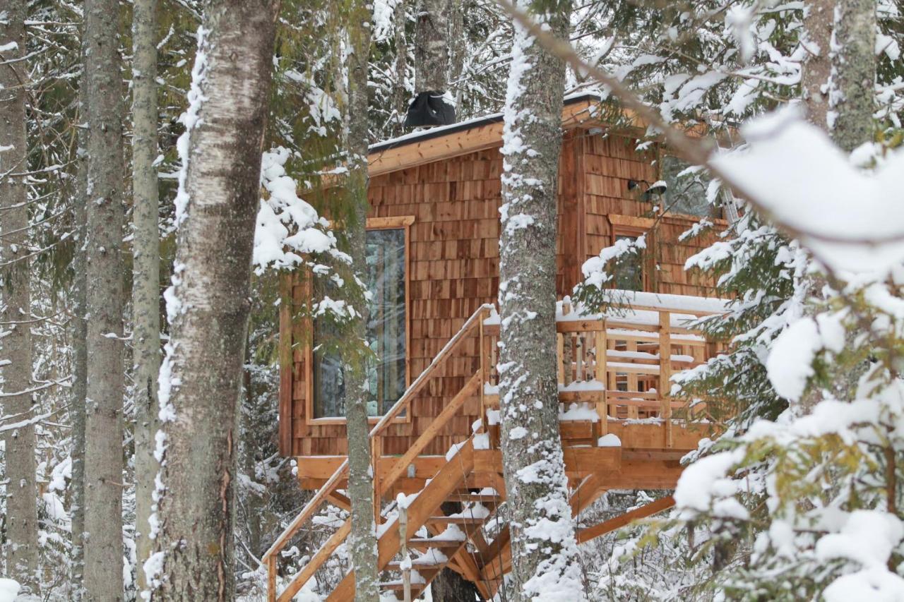 Tiigrisilma Treehouse Hotel Kohila Exterior photo