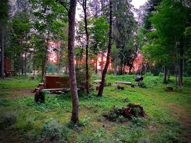 Tiigrisilma Treehouse Hotel Kohila Exterior photo