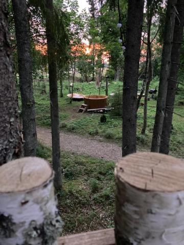 Tiigrisilma Treehouse Hotel Kohila Exterior photo