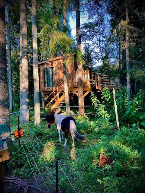 Tiigrisilma Treehouse Hotel Kohila Exterior photo