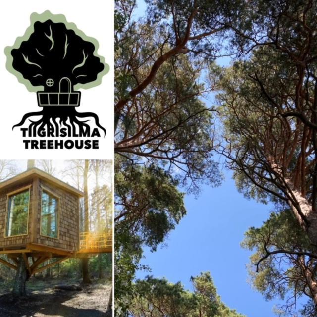 Tiigrisilma Treehouse Hotel Kohila Exterior photo