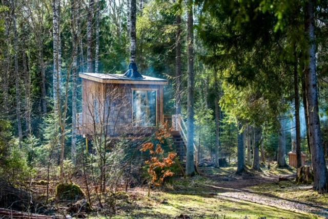 Tiigrisilma Treehouse Hotel Kohila Exterior photo