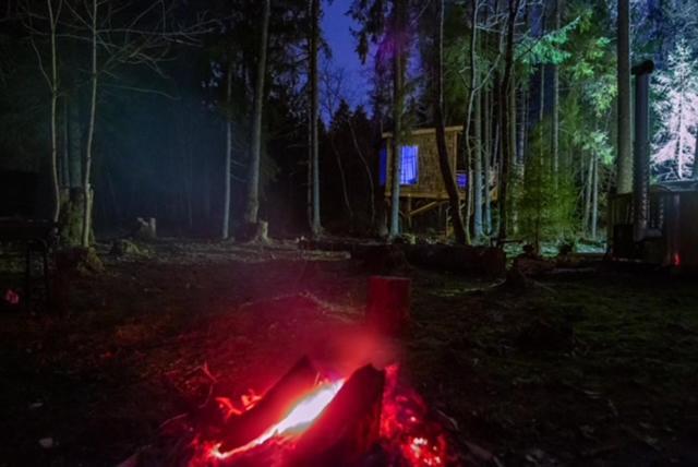 Tiigrisilma Treehouse Hotel Kohila Exterior photo
